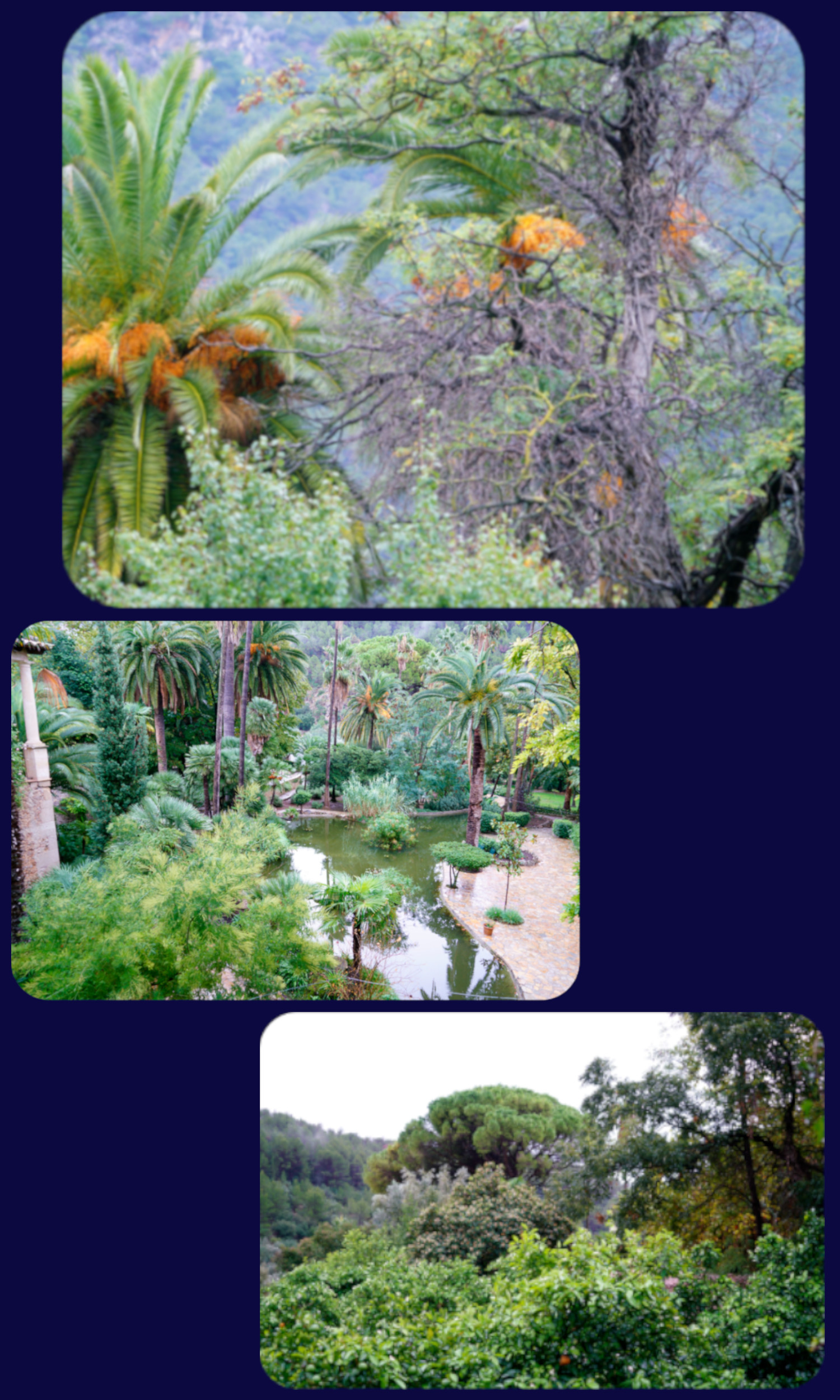 Mallorca Garten Alfabia